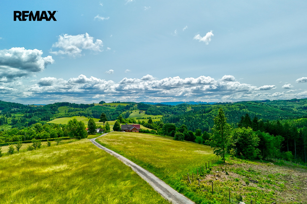 250611-pozemek-mikuluvka-19.jpg
