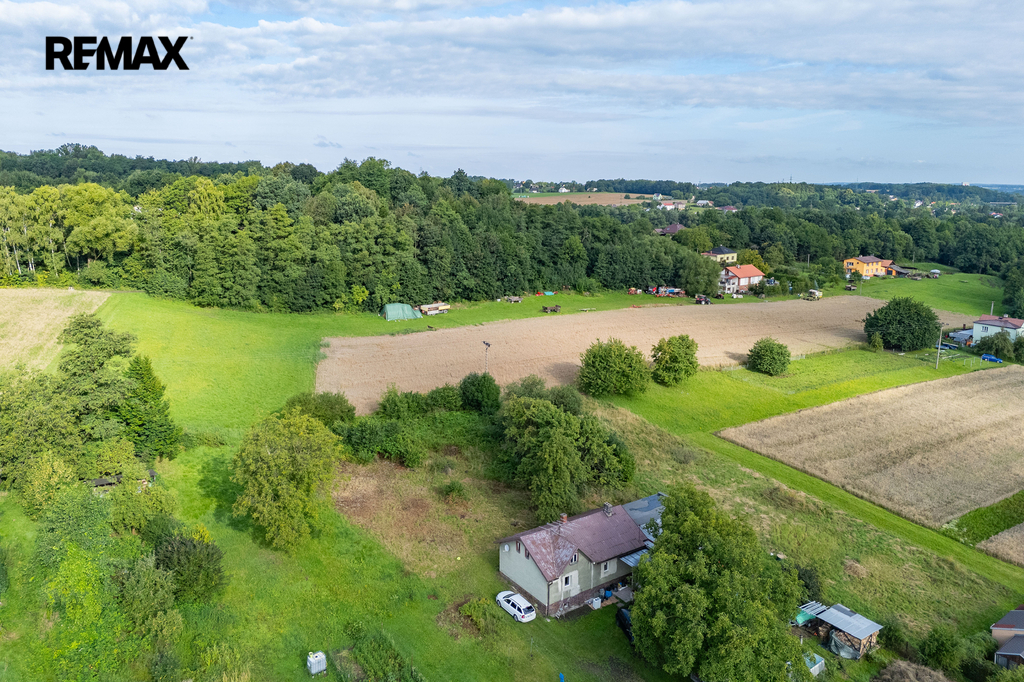 dji-20250729080351-0020-d.jpg