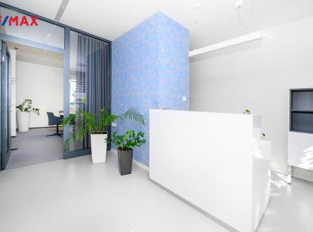 Pronájem kanceláře, 246 m²