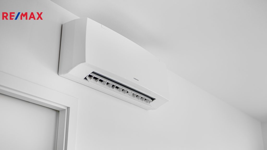 Fotku se nepodařilo načíst.