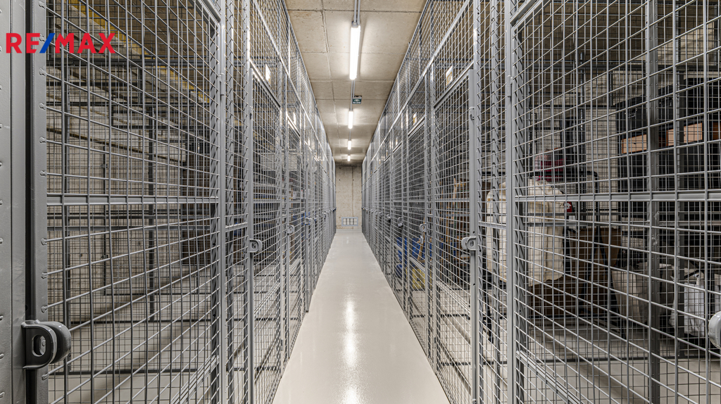 Fotku se nepodařilo načíst.