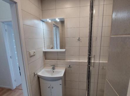 Prodej bytu, 1+kk, 33 m²