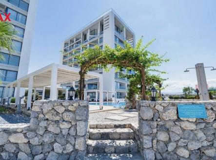 Orchid Casel de Paradise.