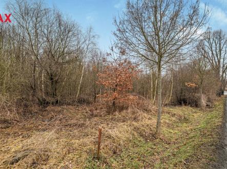 Prodej pozemku pro bydlení, 2 055 m²