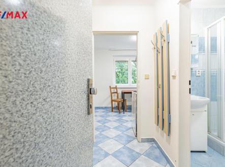 Prodej bytu, 1+1, 1 620 m²