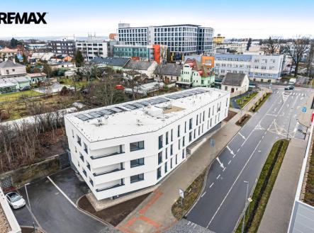 dji-20260213121620-0831-d.jpg