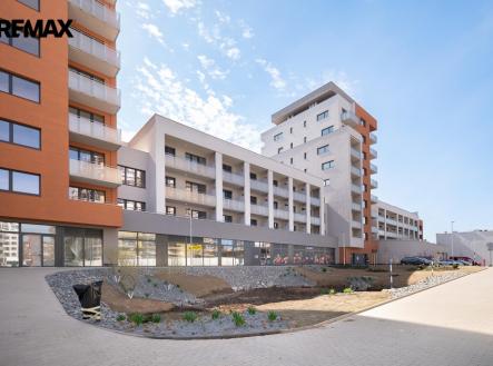 Pronájem bytu, 1+kk, 31 m²