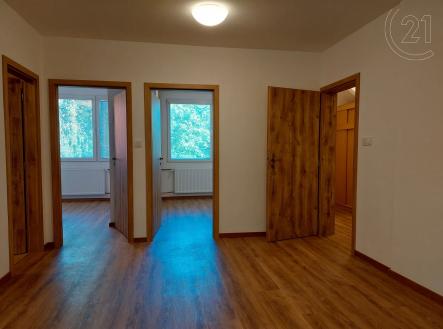Pronájem bytu, 3+kk, 65 m²