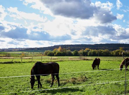 Prodej zemědělského objektu, 800 m²