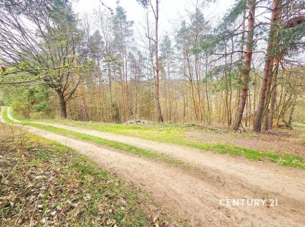 Prodej chaty/rekreačního objektu, 55 m²