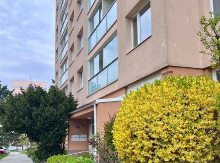 Pronájem bytu, 2+kk, 42 m²