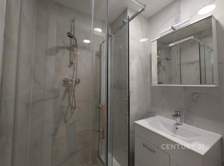 Pronájem bytu, 2+1, 54 m²