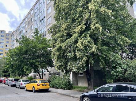 Pronájem bytu, 2+kk, 46 m²