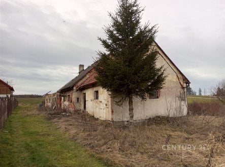 Stavební pozemek pro bydlení 3068 m2 v Olšanech u Dačic