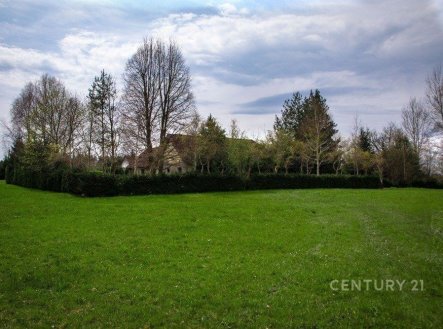 Prodej chalupy 271 m², s pozemkem 1923 m² - u Rapšachu