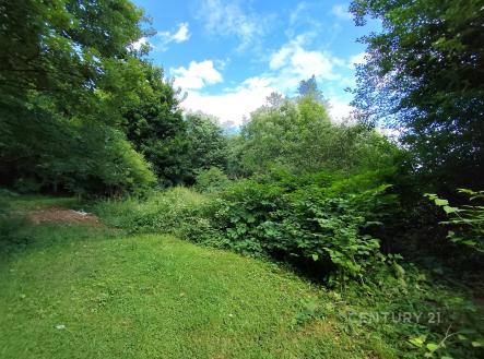 Prodej pozemku, zahrada, 4 886 m²