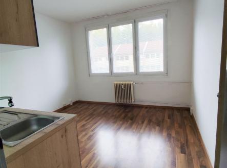 Pronájem bytu, 1+1, 41 m²