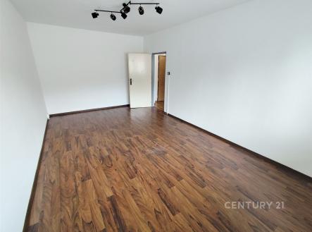 Pronájem bytu, 1+1, 41 m²