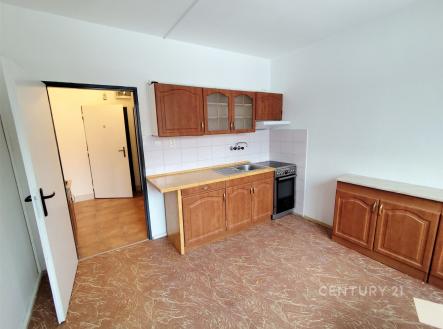 Pronájem bytu, 1+1, 41 m²