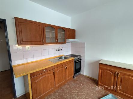 Pronájem bytu, 1+1, 41 m²