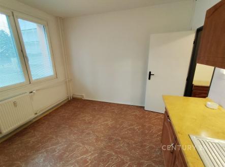 Pronájem bytu, 1+1, 41 m²