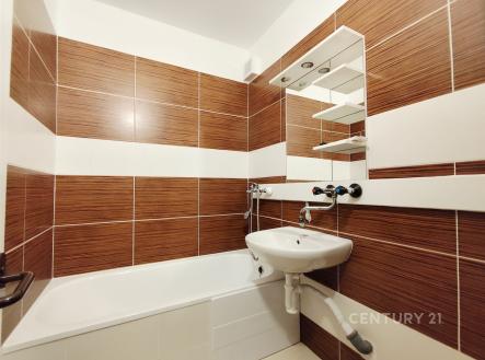 Pronájem bytu, 1+1, 41 m²