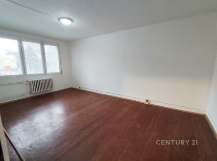 Pronájem bytu, 1+1, 41 m²