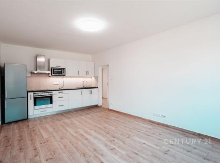 Pronájem bytu, 2+kk, 48 m²