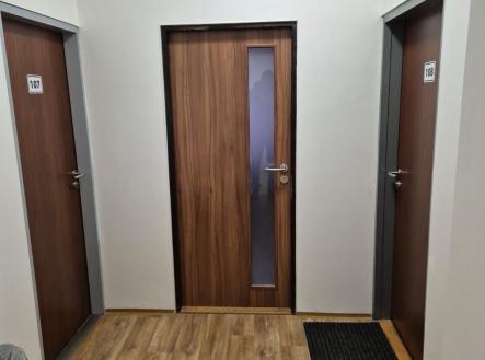 Pronájem obchodní prostor, 24 m²
