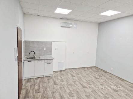 Pronájem obchodní prostor, 24 m²
