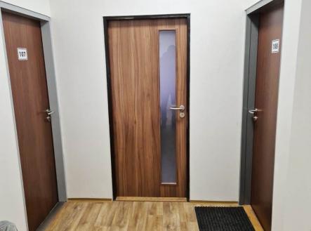 Pronájem obchodní prostor, 24 m²