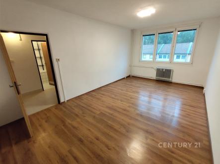 Pronájem bytu, 1+1, 41 m²