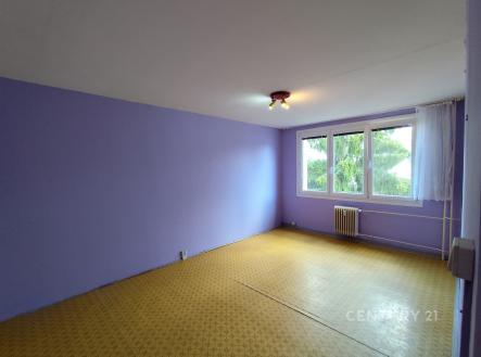 Pronájem bytu, 1+1, 41 m²