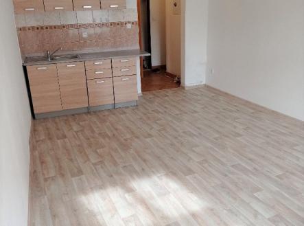 Prodej bytu, 1+kk, 29 m²