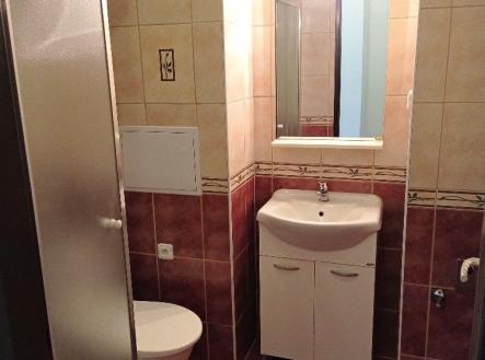 Prodej bytu, 1+kk, 29 m²