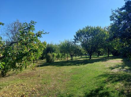 Prodej pozemku pro bydlení, 3 437 m²