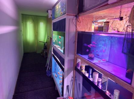 Prodej domu/vily, 73 m²