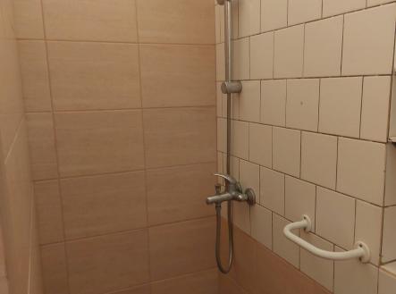 Prodej bytu, 1+1, 43 m²
