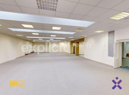Pronájem obchodní prostor, 387 m²