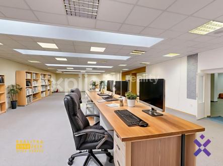 Pronájem obchodní prostor, 387 m²