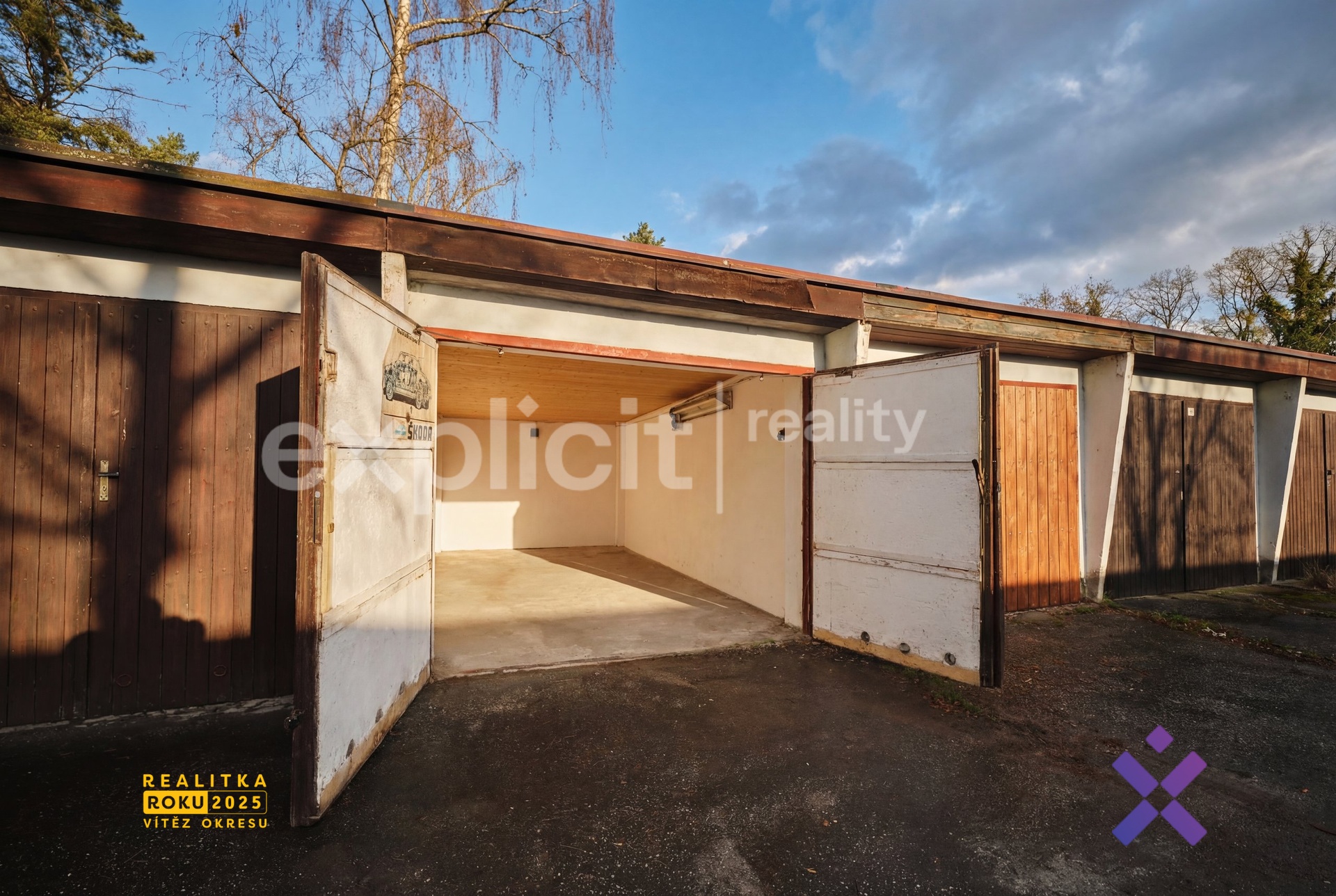 Alice Nováková Explicit Reality1.2