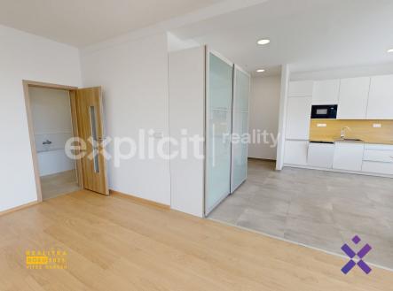 Pronájem bytu, 1+kk, 67 m²