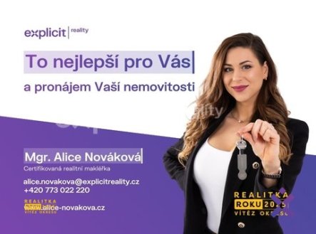 Pronájem