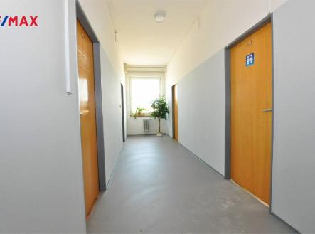 Pronájem kanceláře, 20 m²