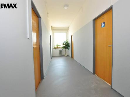 Pronájem kanceláře, 20 m²