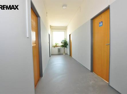 Pronájem kanceláře, 20 m²