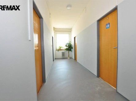 Pronájem kanceláře, 20 m²