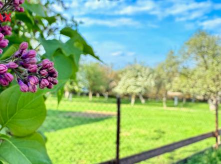 Prodej pozemku pro bydlení, 1 748 m²