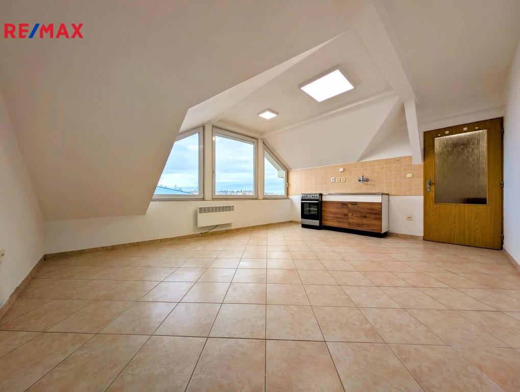 pokoj s koutem kuchyňským ...