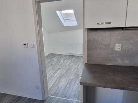 Pronájem bytu, 1+1, 46 m²